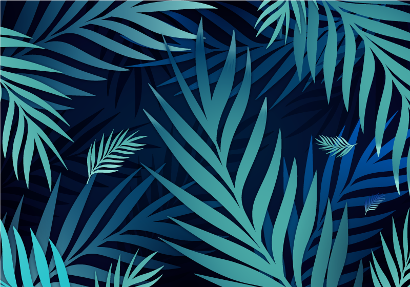 Blue tropical leaf HD wallpapers  Pxfuel