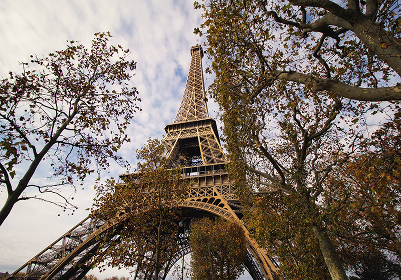 Murais de parede cidades e países Paris com o jardim TenStickers. Murais de parede cidades e países Paris com o jardim. Este fotomural vinílico de parede da cidade é baseado em uma foto de uma torre eiffel na bela paris com árvores de outono e um céu nublado. Entrega em domicílio disponível!