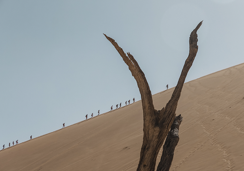 Dune Hikers Silhouette desert wall mural - TenStickers