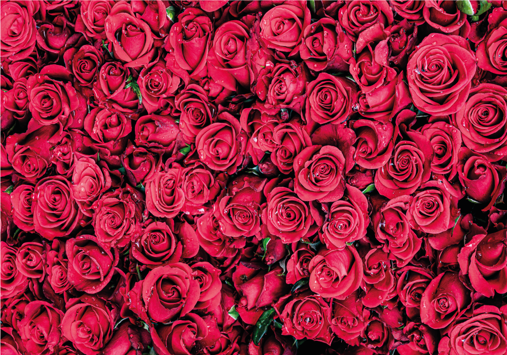 Red flowers with textured background 3d mural wallpaper - TenStickers