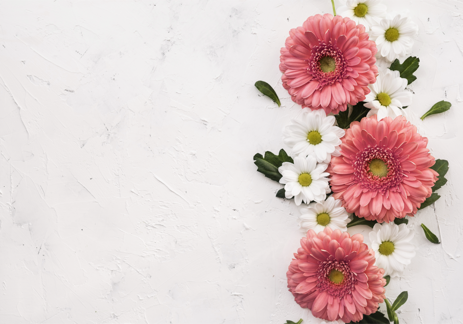 粉红色的3d 雏菊花壁画壁纸 Tenstickers 粉红色的3d 雏菊花壁画壁纸 Tenstickers