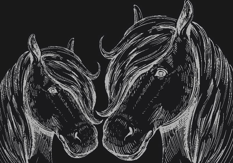 Chalkboard horses mural wallpaper TenStickers