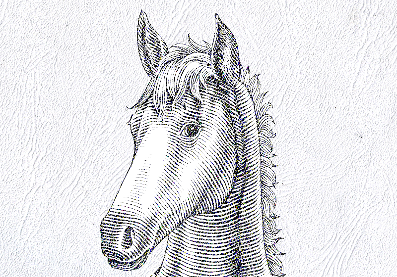 Cute horse ears mural wallpaper TenStickers