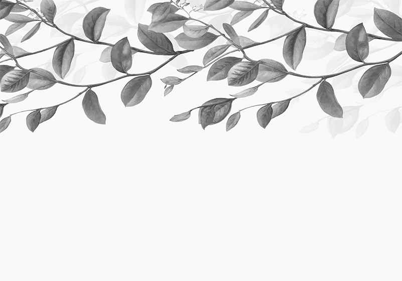 Black and white hanging twigs modern mural wallpaper TenStickers