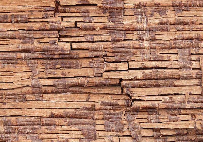 Textura de madera decoración de la pared grieta de madera