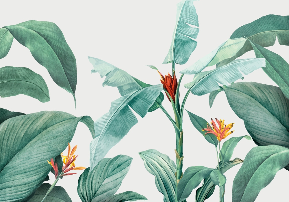Rollo de vinilo mueble plantas tropicales elegantes - TenVinilo