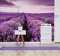 Mural de flores de campo de lavanda rosa - TenVinilo