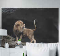 Foto mural 3d Leones con pasillo sin fin. - TenVinilo