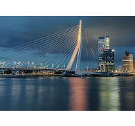 Geschikt hoe Pech Rotterdam skyline muurschildering behang - TenStickers