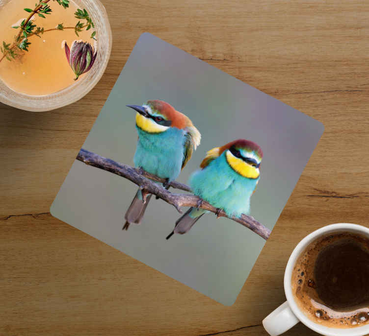 Sous verre moderne oiseaux colorés perchés - TenStickers