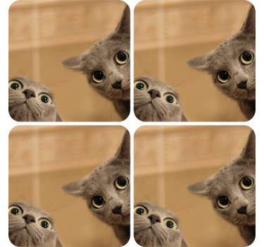 Søde katte moderne coaster sæt - TenStickers
