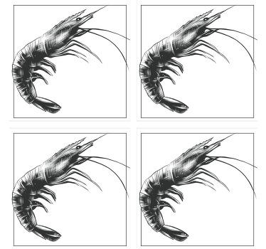 Posavasos camarón dibujado blanco y negro - TenVinilo