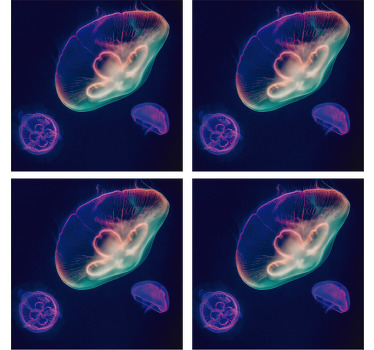 Dessous de verre Méduse multicolore - TenStickers