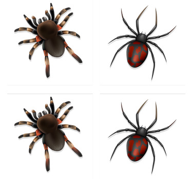 Realistisk spindel halloween-dalbana - Tenstickers