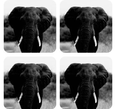 Posavasos moderno B & w cabeza de elefante - TenVinilo