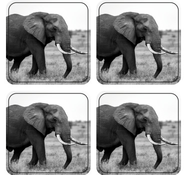 Elefant gå b & w coaster moderne coaster - TenStickers