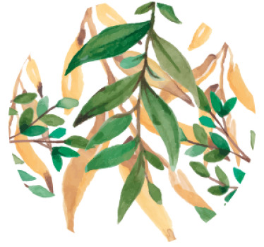 緑とベージュの葉がモダンなコースター - TENSTICKERS