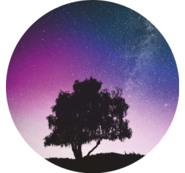 Untersetzer Modern Einsamer baum und meteor - TenStickers