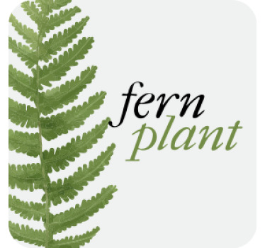 φτερά φυτό μινιμαλιστικό σουβέρ κειμένου - TenStickers