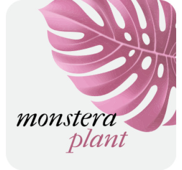 Bases para copos com frases Estilo monstera minimalista rosa - TenStickers