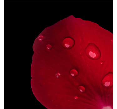 Dewy rose petal texture coasters - TenStickers