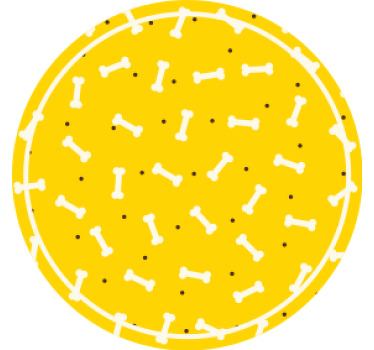 かわいい黄色の背景の犬の骨のモダンなコースター - TENSTICKERS