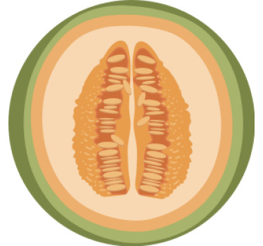 Uppsättning skivade frukter tecknad modern glasunderlägg - Tenstickers