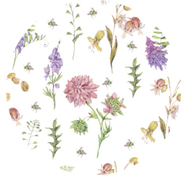 Flori sălbatice multicolore coaster modern - TenStickers