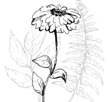 Käsin piirrettyjä tulppaaneja enemmän lasinalusia - Tenstickers