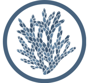 Nowoczesna podkładka pod kubek Nowoczesne korale w stylu hampton - TenStickers