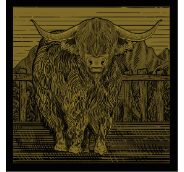 Vintage engraving highland cow more coasters - TenStickers