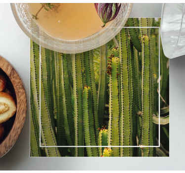 사막 식물과 선인장 질감 코스터 - TenStickers