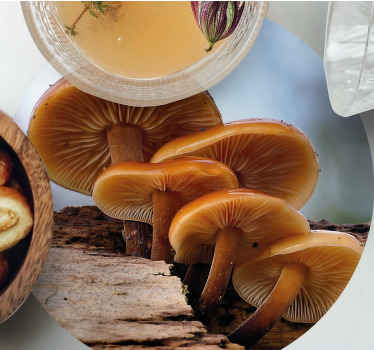 Cáscara de naranja setas silvestres más posavasos - TenVinilo