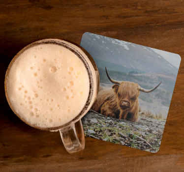 Highlands cattle cow more coasters - TenStickers