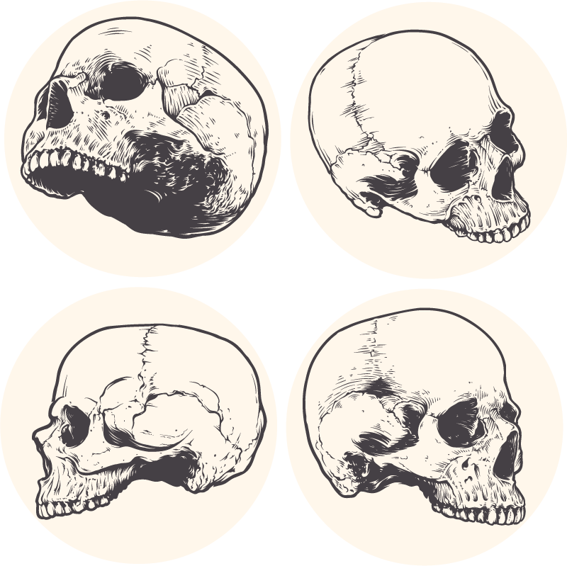 Creepy Close Up Of Skull With Yellow Teeth Set of 4 Coasters 