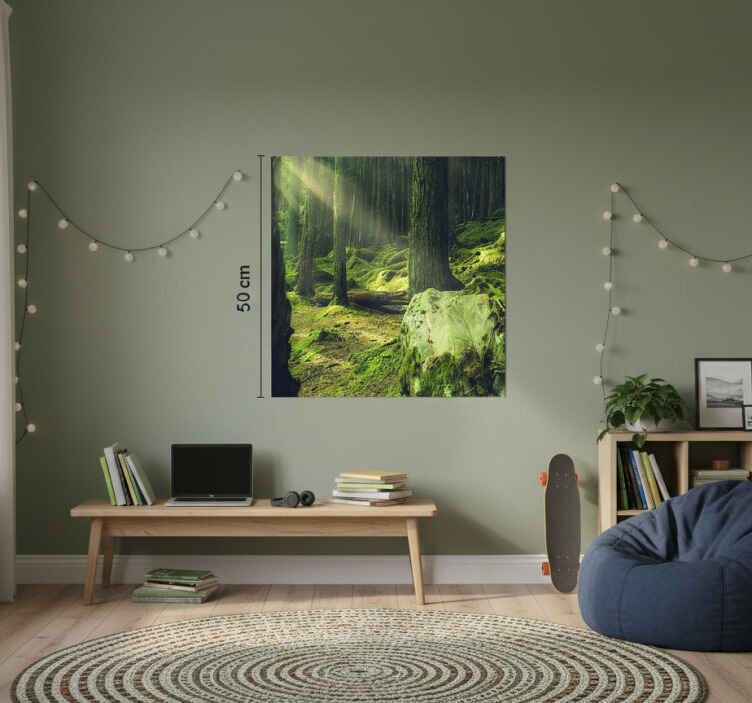 Poster pentru salon pietre acoperite cu mușchi în pădure - TenStickers