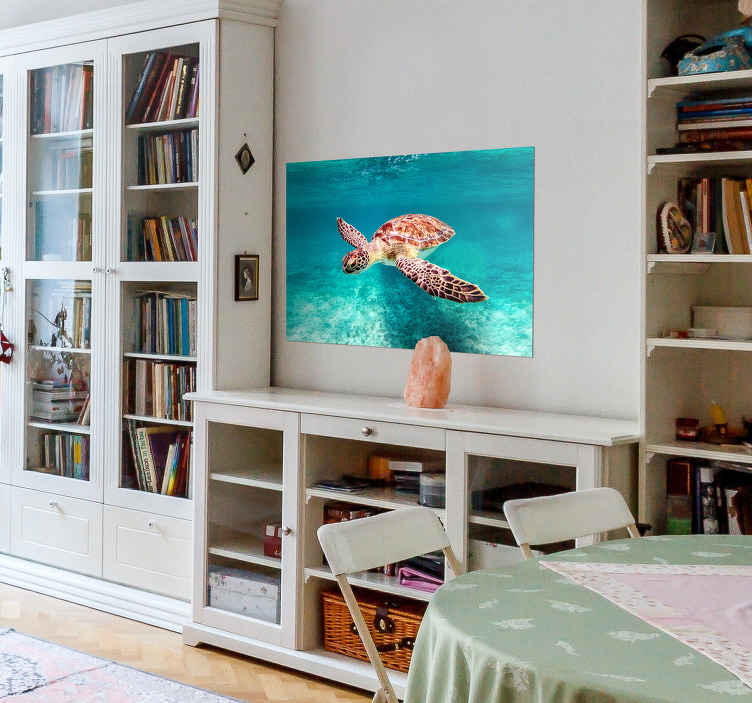 Poster schildpad zwemmend in zee - TenStickers
