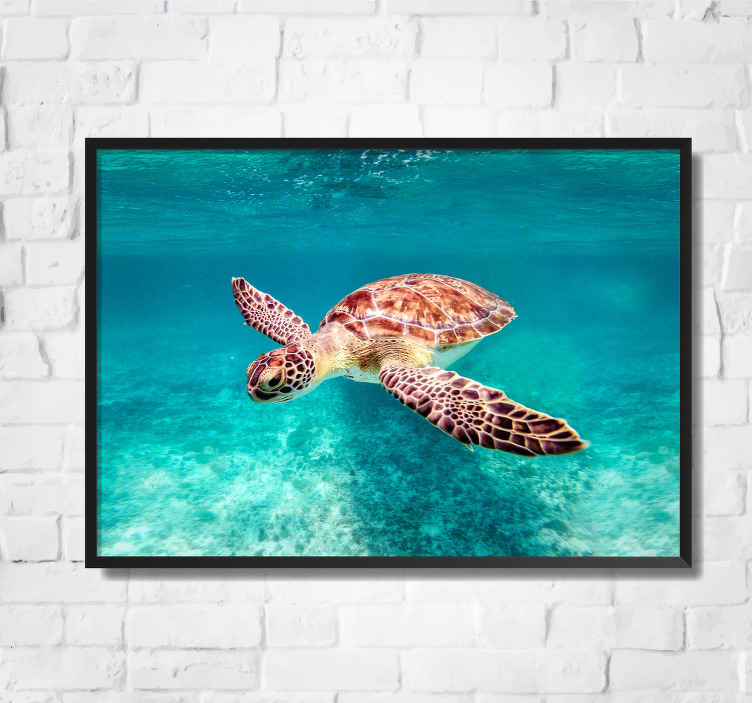 Poster schildpad zwemmend in zee - TenStickers