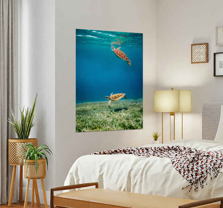 Poster schildpadden op avontuur - TenStickers
