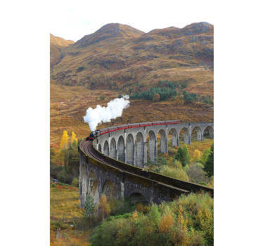 Poster photo réaliste train en mouvement - TenStickers