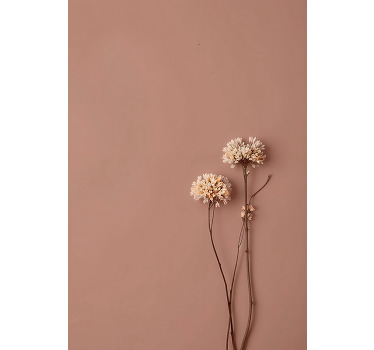 Dried flowers minimalist poster - TenStickers