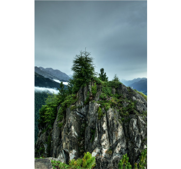 Αφίσα για το σαλόνι Μοναχική πέτρα σε πράσινο δάσος - TenStickers