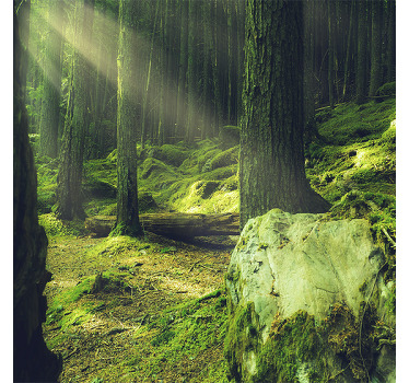 Αφίσα για το σαλόνι Βράχοι με βρύα στο δάσος - TenStickers