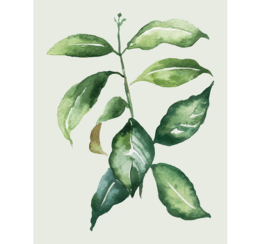 꽃과 식물이 있는 포스터 라임 야자수 잎 - TenStickers