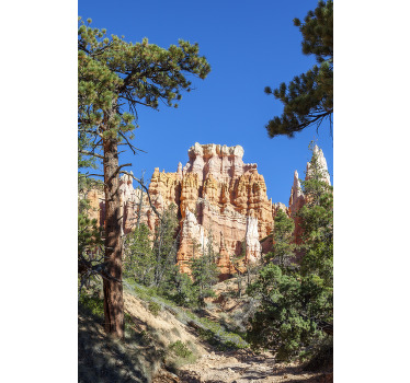 Poster paisajes bryce canyon - TenVinilo