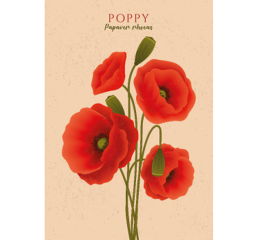 Blumenposter mit mohnblumen - TenStickers