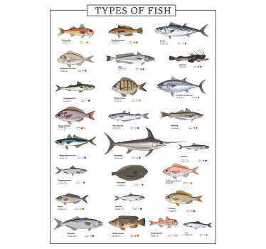 Poster motif types de poissons - TenStickers