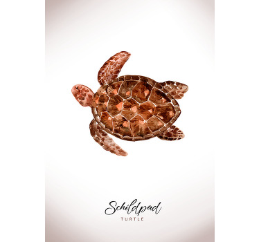 Poster met aguarel schildpad - TenStickers