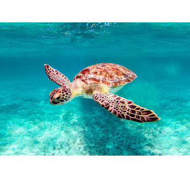 Poster schildpad zwemmend in zee - TenStickers