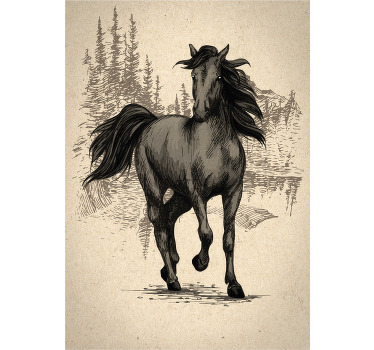 Poster met paarden tekening - TenStickers